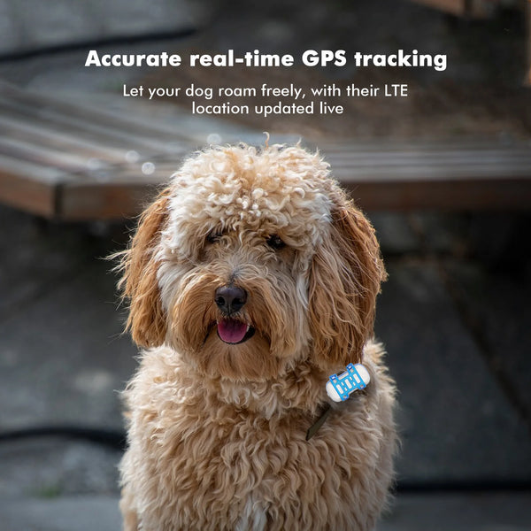4G Waterproof Dog Cat Finder Mini Tracking Device