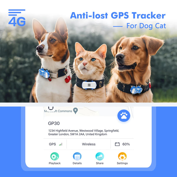 4G Dog Cat GPS Tracker