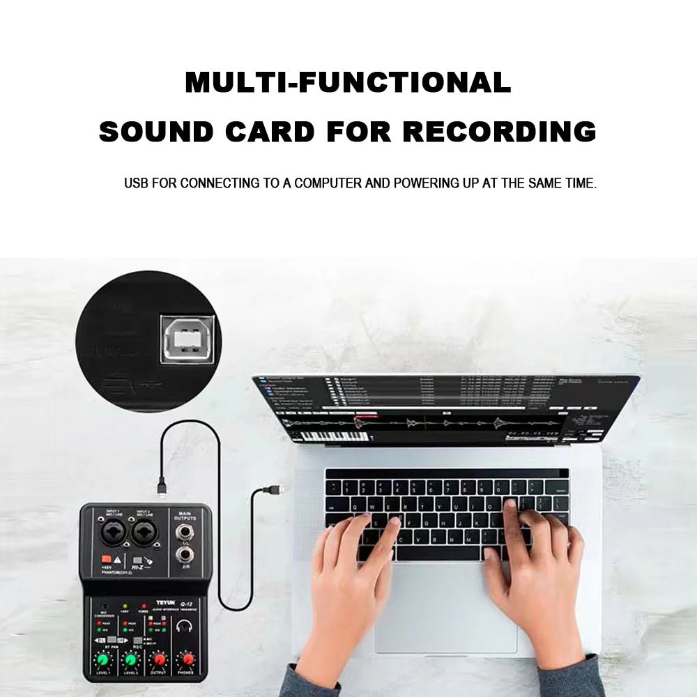 TEYUN Q12 Professional 2-Channel Audio Interface Mixer