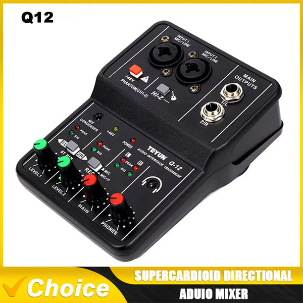 TEYUN Q12 Professional 2-Channel Audio Interface Mixer