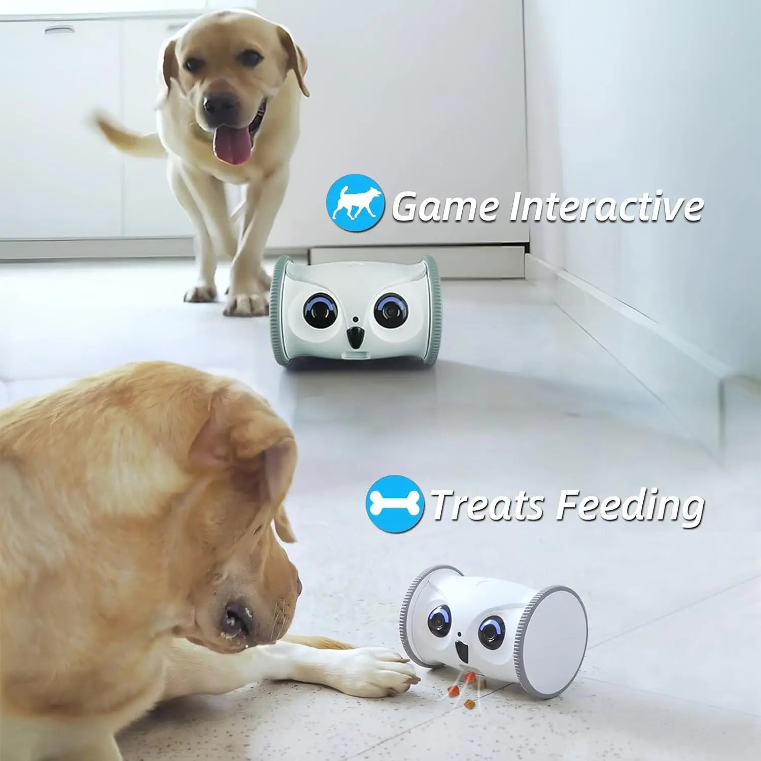 Pet Camera with Treat Dispenser