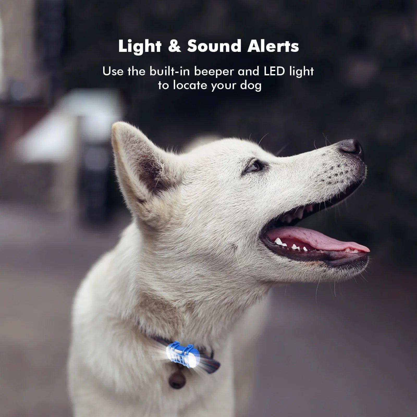 4G Waterproof Dog Cat Finder Mini Tracking Device