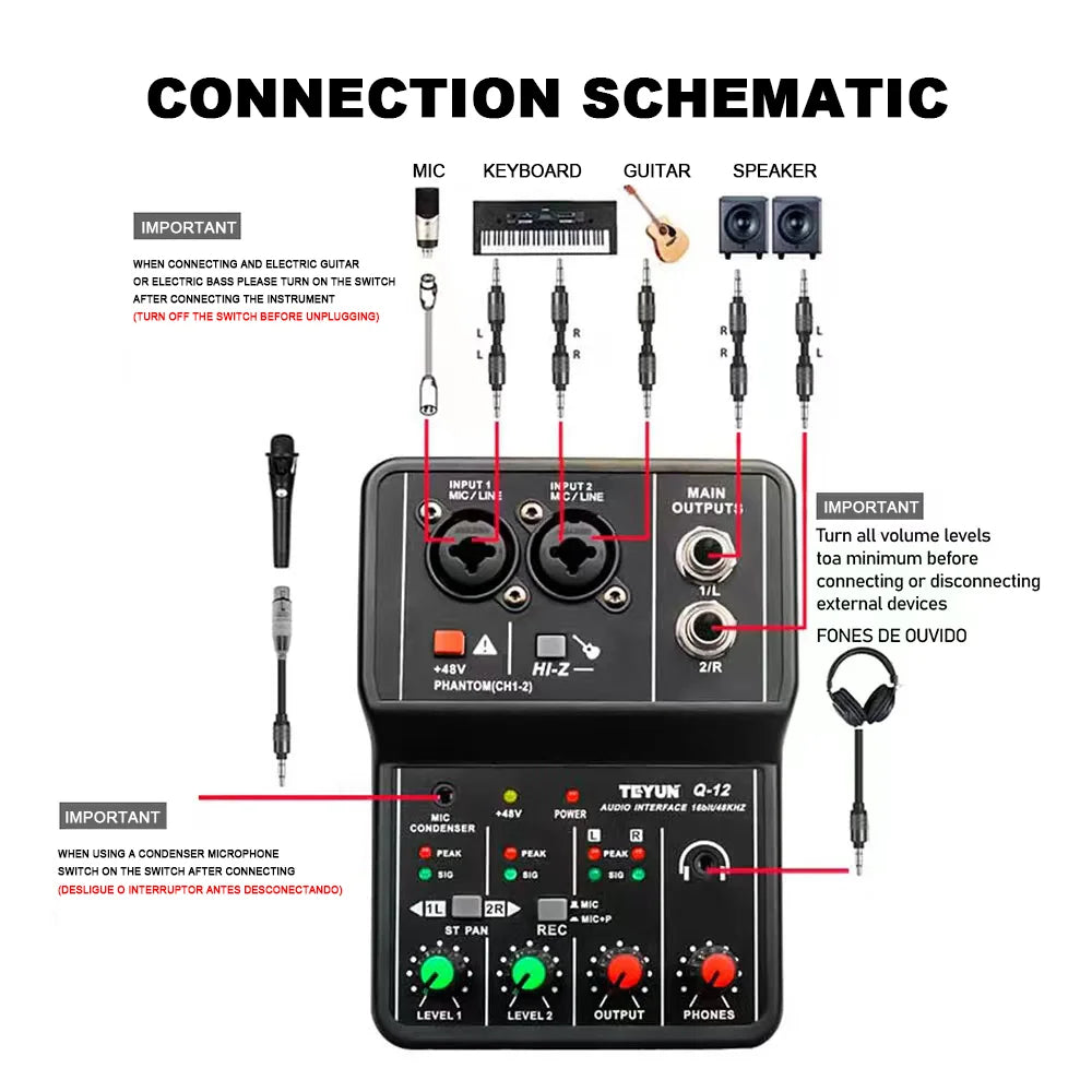 TEYUN Q12 Professional 2-Channel Audio Interface Mixer